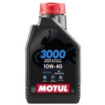 3000 10W40 4T