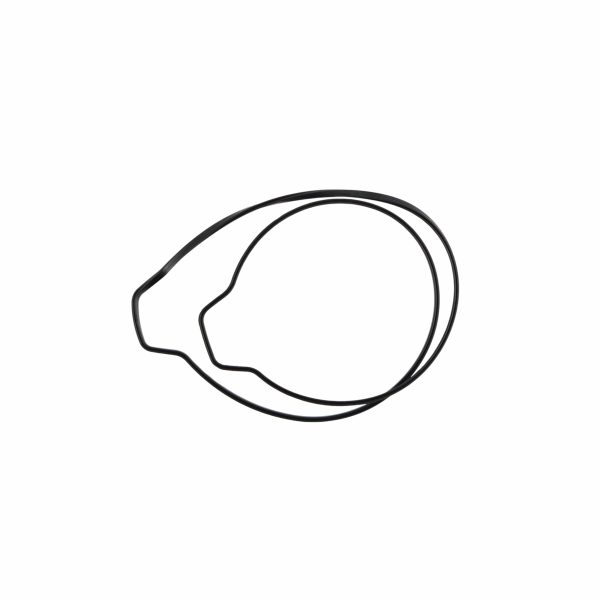 EXC300 Clutch Cover O-Rings 19-23