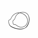 EXC300 Clutch Cover O-Rings 24-26