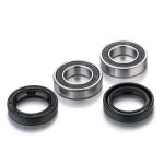 Factory Links Honda Front Wheel Bearing Kit