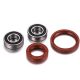 Factory Links Honda Front Wheel Bearing Kit
