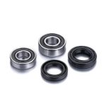 Factory Links Honda Rear Wheel Bearing Kit