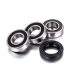 Factory Links Honda Rear Wheel Bearing Kit
