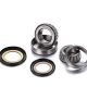 Factory Links Honda Steering bearing Kit CRF1000-1100
