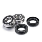 Factory Links Sherco Front Wheel Bearing Kit