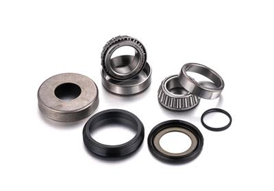 Factory Links Sherco Steering Bearing Kit