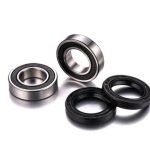 Factory Links Suzuki DR Front wheel Bearing kit
