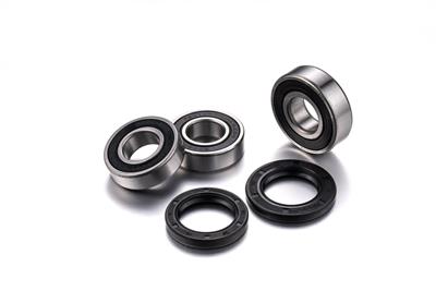Factory Links Suzuki DR Rear wheel Bearing kit