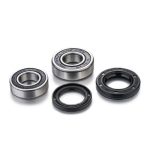 Factory Links Yamaha Rear Wheel Bearing Kit